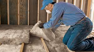 Professional Insulation Services in Mercedes, TX