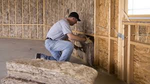 Types of Insulation We Offer in Mercedes, TX